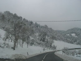 foto neve del 24 novembre 2005 7